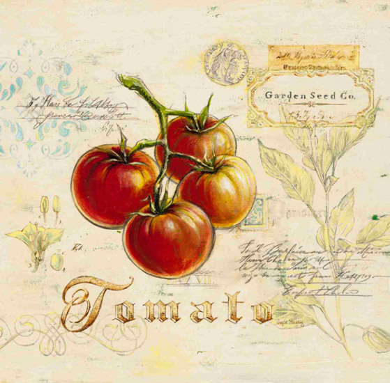 Jahrriesnge Still Life of tomato-lpf00277 