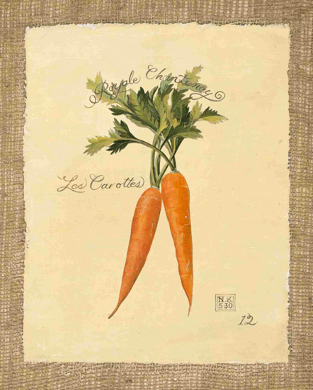 Jahrriesnge Still Life of carrot-lpf00284 