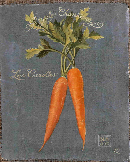 Jahrriesnge Still Life of carrot-lpf00286 