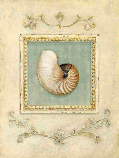 Jahrriesnge Still Life of nautilus-lpf00438 