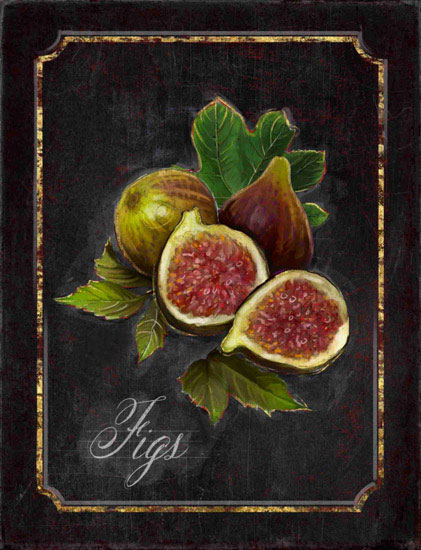 Jahrriesnge Still Life of figs-lpf00442 