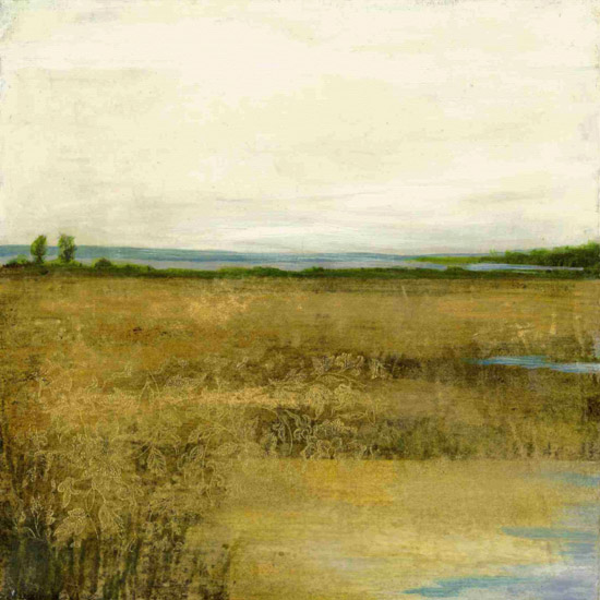 JAHRRIESNGE Landscape of swamp-lpf00729 