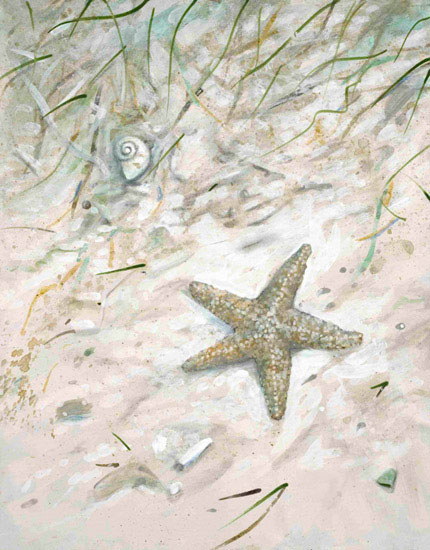 Jahrriesnge Landscape of seastar-lpf00844 