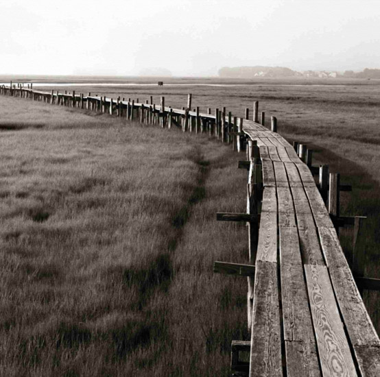 JAHRRIESNGE Landscape of wooden-bridge-lpf00851 