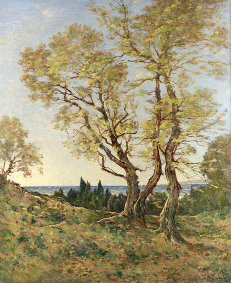 JAHRRIESNGE Landscape of tree-lpf01018 