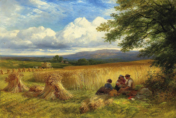 JAHRRIESNGE Landscape of harvesting-crops-lpf01187 