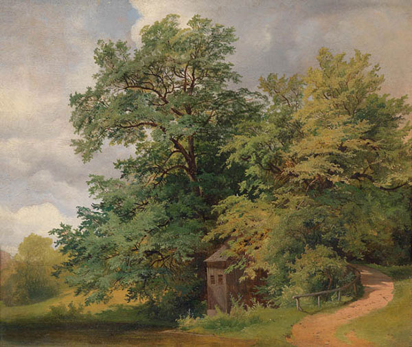 Jahrriesnge Landscape of tree-lpf01409 