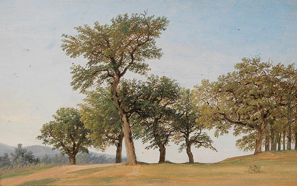 Jahrriesnge Landscape of tree-lpf01635 