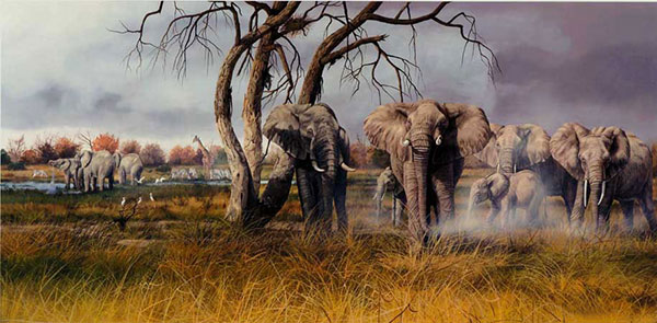 Jahrriesnge Animals of elephant-lpf02530 