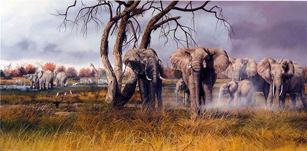 Jahrriesnge Animals of elephant-lpf02531 