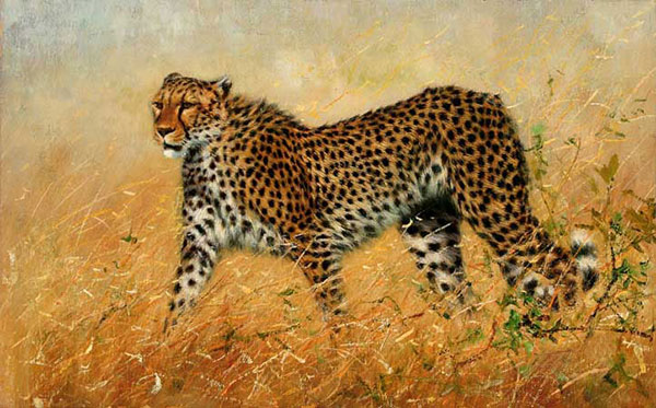 Jahrriesnge Animals of leopard-lpf02538 