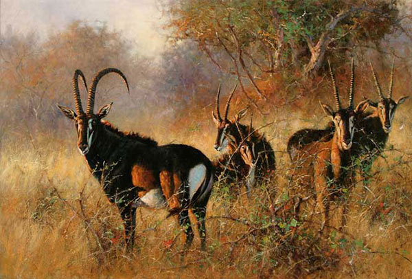 Jahrriesnge Animals of antelope-lpf02541 