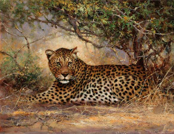 Jahrriesnge Animals of Leopard-lpf02547 