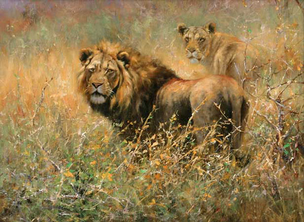 Jahrriesnge Animals of lion-lpf02551 