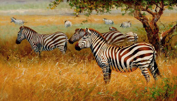 Jahrriesnge Animals of zebra-lpf02555 