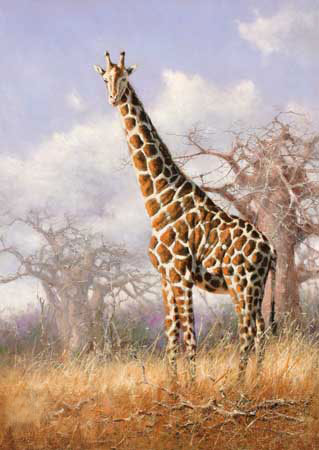 Jahrriesnge Animals of giraffe-lpf02571 