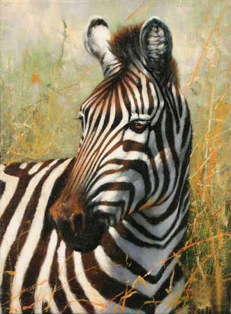 Jahrriesnge Animals of zebra-lpf02572 