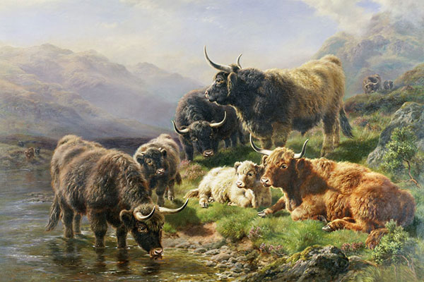 Jahrriesnge Animals of yak-lpf02600 