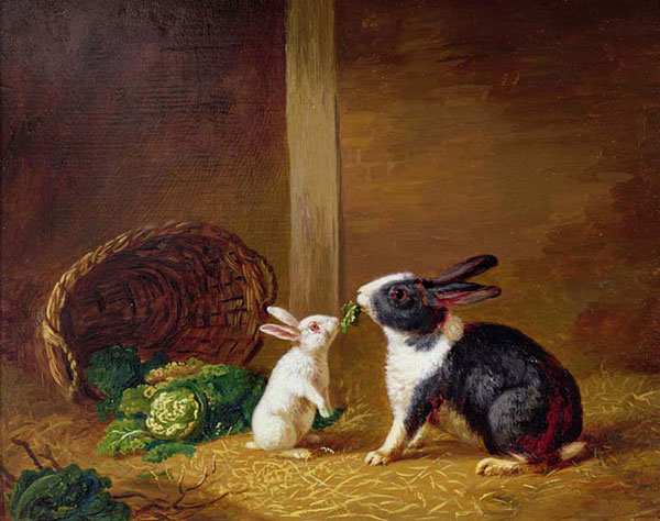 Jahrriesnge Animals of rabbit-lpf02630 