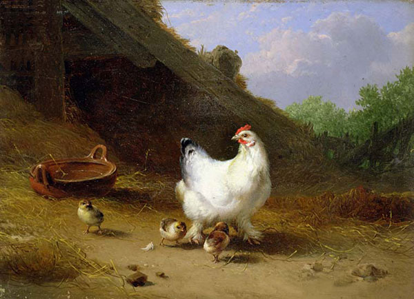 Jahrriesnge Animals of hen-and-chick-lpf02632 