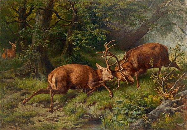 Jahrriesnge Animals of elk-lpf02653 