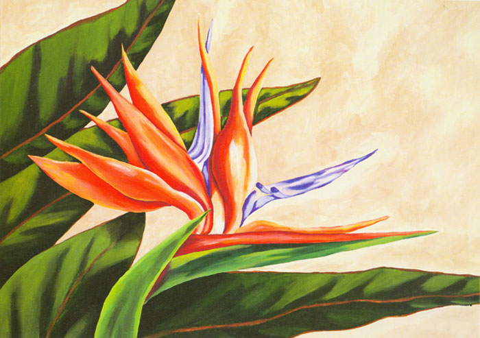 Jahrriesnge Floral of strelitzia lpf04607 