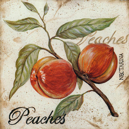 Jahrriesnge Floral of peaches lpf05599 