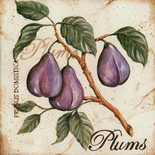 Jahrriesnge Floral of plums lpf05600 