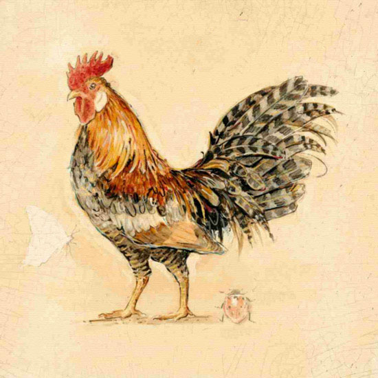 Jahrriesnge Animals of cock lpf10563 