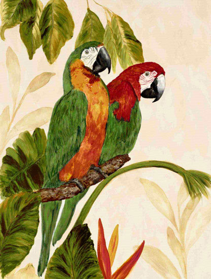 Jahrriesnge Animals of macaw lpf10598 