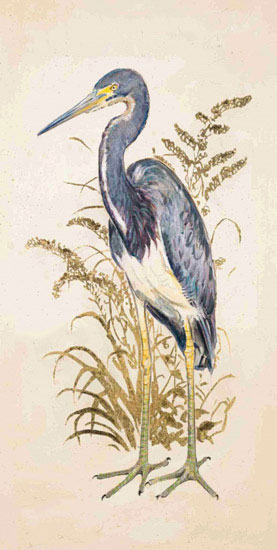 Jahrriesnge Animals of tricolor heron lpf10634 