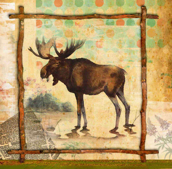 Jahrriesnge Animals of moose lpf10640 