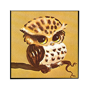 Jahrriesnge Animals of owl-lpg0513 