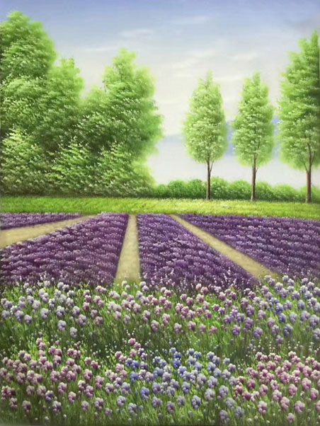 JAHRRIESNGE Landscape of lavender-lpg1706 