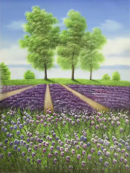 Jahrriesnge Landscape of lavender-lpg1707 