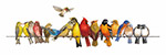 Jahrriesnge birds song lpg1001 Animals